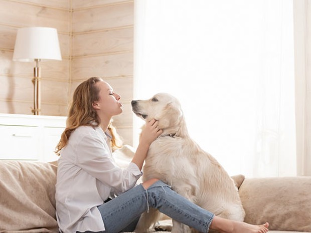 Mujer sentada en un sofá beige haciéndole cariños a un perro estilo labrador color crema