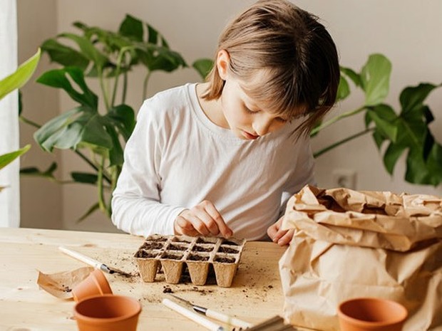 Niño en la mesa de su casa plantando semillas en una huevera de cartón. De fondo vemos plantas