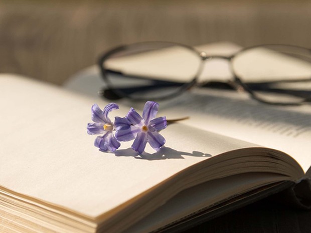 Unas gafas de lectura y una flor de color violeta sobre un libro abierto