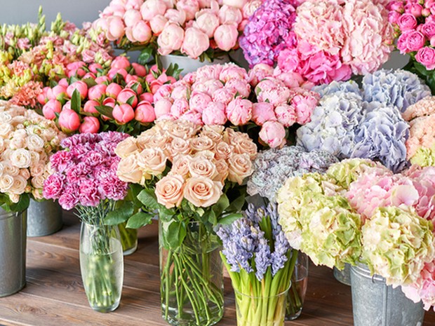 Regala flores en San Valentín a increíbles precios