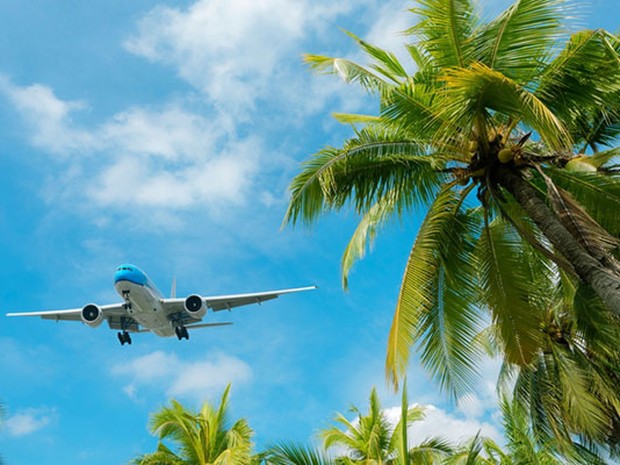 Avión sobrevolando unas palmeras sobre un cielo turquesa