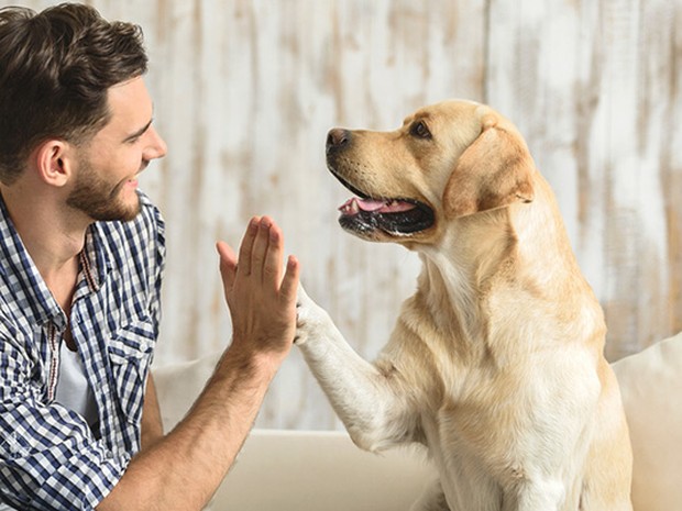 Un jóven y su perro chocando palma contra pezuña