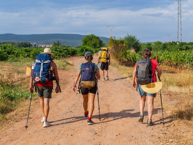 Cuatro peregrinos haciendo el Camino de Santiago con gorras, sombreros, mochilas y bastones por un camino de tierra